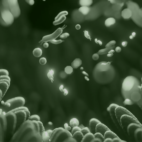 How Does the Microbiome Make You Healthy?