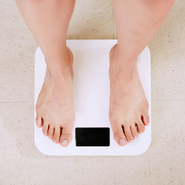 Does the Microbiome Make You Gain Weight? What Science Really Knows About Gut Bacteria and Obesity