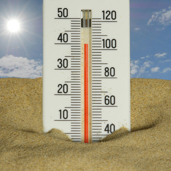 Gut & Heat: Why Digestion Can Get Out of Balance During Summer