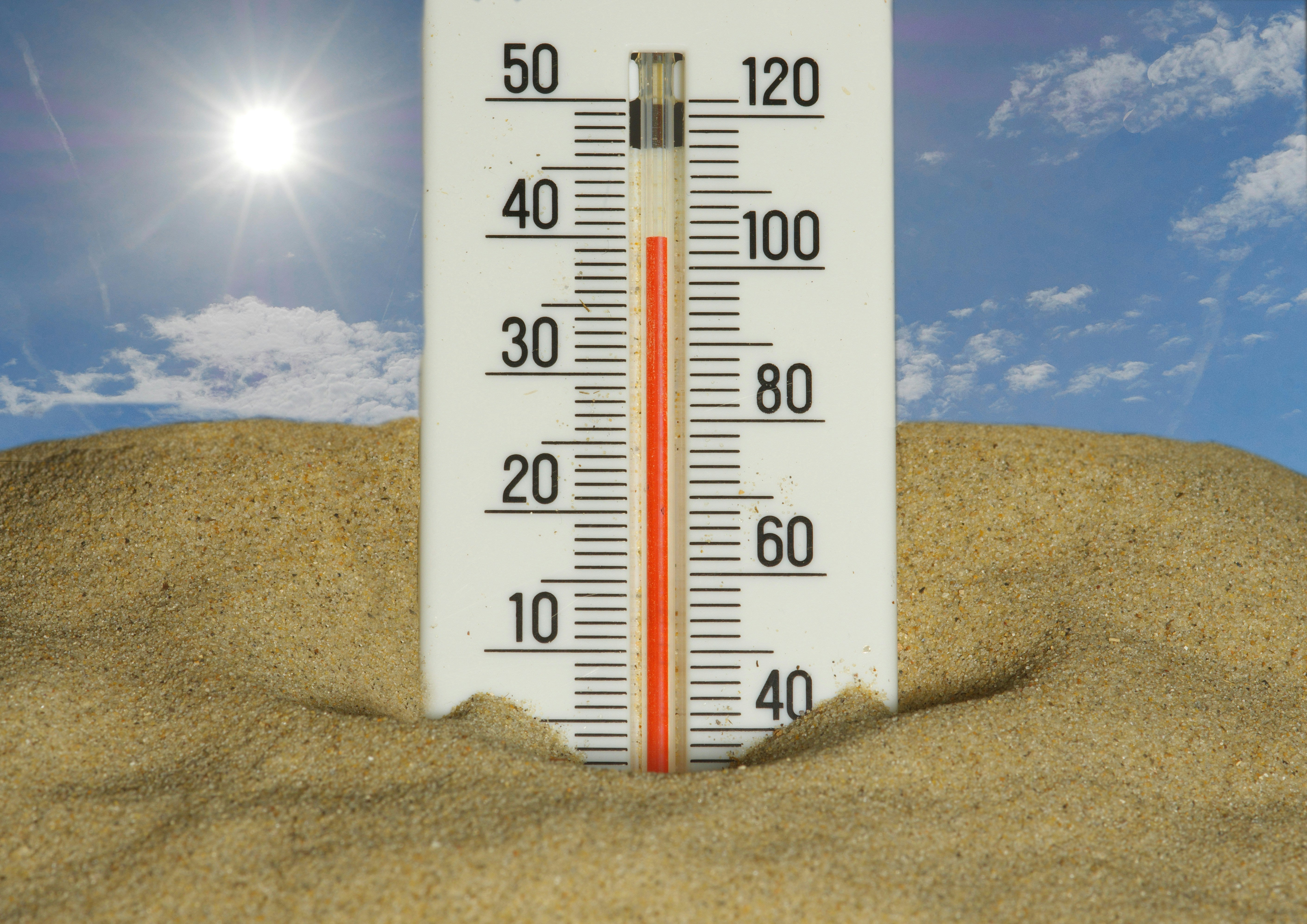 Gut & Heat: Why Digestion Can Get Out of Balance During Summer
