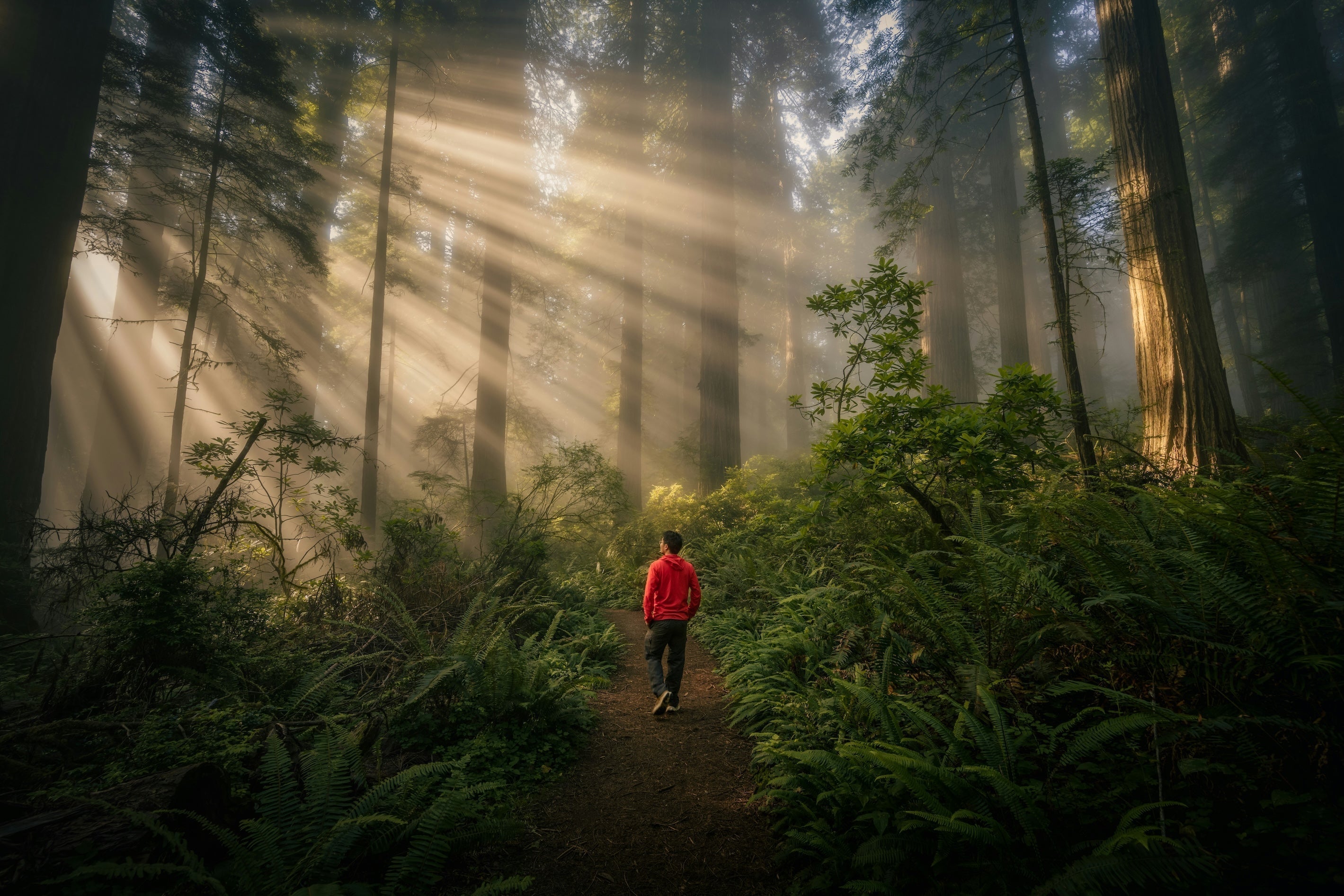 Autumn Fatigue – Why Your Energy Suddenly Seems to Disappear